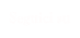 Seguici su